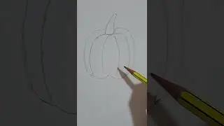 تعلم رسم ثمره الفلفل 🫑🫑