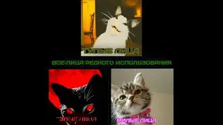 Все лица кошачьей версии редкого использования. Тупые/Злые/Милые/