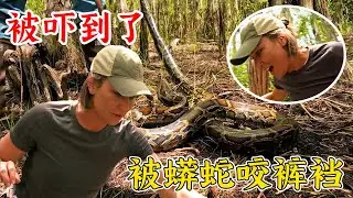 沼澤獵人：太猛了，被蟒蛇攻擊咬褲襠，差點保不住後代！紀錄片