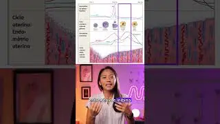 Resumão CICLO MENSTRUAL | MK Fisiologia #shorts