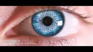 Adam H Rohit - His Dream (feat. Junior Paes) [Music Video]