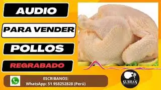📣AUDIO para vender POLLOS 🐔🐔