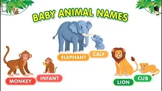 Baby Animal Names | Kids vocabulary | English Educational Video