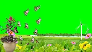 How to make a flower animation video on green screen || green screen video Kaise banaye green screen