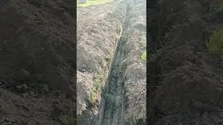Траншеи под фундамент готовы, результат работы мини-экскаватора.