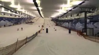 Леонид Снежком