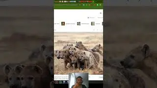 Шесть типов отрицательных комментаторов моего канала