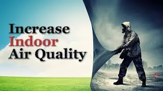Top 12 Ways to Increase Air Quality in your Home