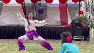Taichi free style by master Li