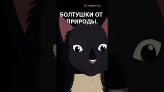Топ факт о кошках  #interesting #interestingfacts #funny #fun #facts #science