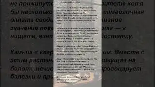 Приметы бытовые. 