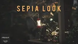 COLOR GRADING SEPIA