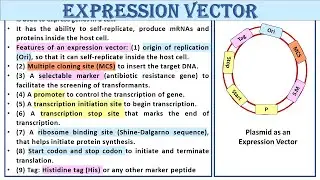 Expression Vector | Study Smart Not Hard