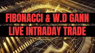 GANN Angle & Fibonacci - How to Trade Intraday , Nifty Option ?