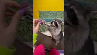 Посетили Планету Енотов:) 