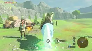 What Can You use the Lord of the Mountain for in Zelda Breath of the Wild?
