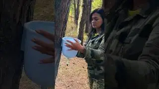 Try living alone in the forest! 