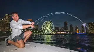 MONSTERS in MIAMI...Fighting Urban City Giant's