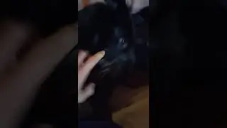Murphy says Hi. (with sound)