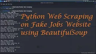 Fake Jobs | Python Web Scraping - Leisure Codes