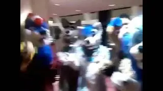 Furry-vine 1
