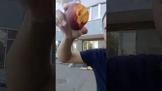 Свежие Фрукты каждый день #sharif #food #еда #burger #екатеринбург #вкусно