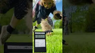избегайте квд