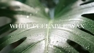 New White Peelable Wax #wax #waxing #hairremovalmethods #waxingtips #waxhairremoval #beautytips