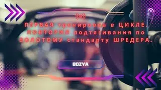 ПЕРВАЯ тренировка в ЦИКЛЕ. ПОВТОРИЛ подтягивания по ЗОЛОТОМУ стандарту ШРЕДЕРА.