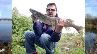 Megascorcher Fishing #0 - 