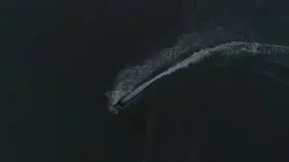 That Mako Freedom Feeling
