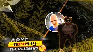 Вступайте в фаму, чтобы не быть лысым:)