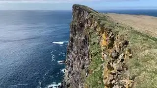 Látrabjarg The largest sea bird cliff in Europe