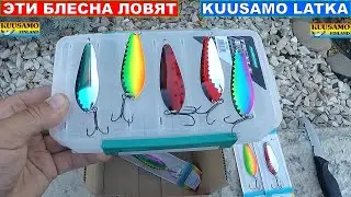 Блесна Kuusamo Latka. Колебалки Куусамо. Уловистые блесна Kuusamo. Рыбалка Обзор Рыбака 2021
