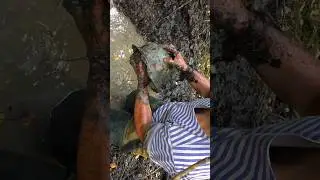Невероятная находка из болота! #relics #ww2 #копповойне #history #metaldetecting #unbelievable