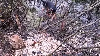 По дороге с облаками
