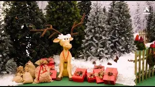 Fiesta Navidad Cortizo 2023