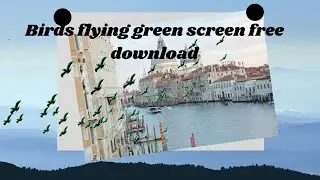 Birds Flying Green Screen Animation-Green Screen Effects