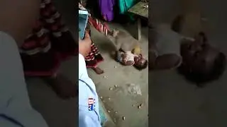 detik detikkk beruk tidak mau melepaskkan anak kecil
