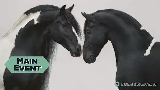 The Main Event || Equestrian Music Video ||