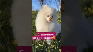 с окончянием рабочей  недели