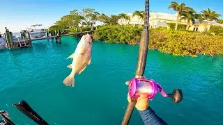 Is This BAIT Considered CHEATING? Dock Fishing For Big Snook!