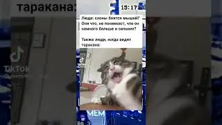 😂😂 #shorts #ютуб #прикол #мем #мемы #юмор #funny #смех
