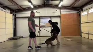 Ashley biting then letting go instantly