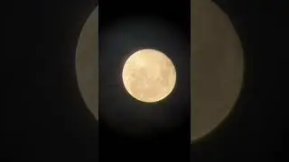essa vibe... 🌒