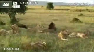 samsung commercial