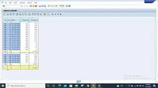ALV Report - Printing a Line After Subtotaling in an ALV | SAP ABAP | 