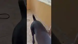 Клевая бойлерная получилась 🥰