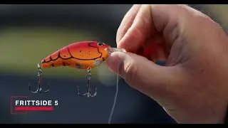 Spring Fishing: The Best Berkley Baits To Catch More Fish