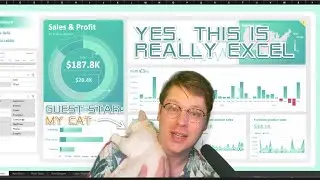 Building a dynamic Excel dashboard on Mac (part 1)